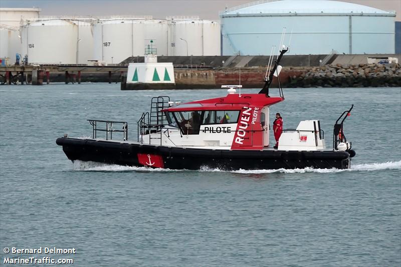 ROUEN PILOT PELICAN FOTO