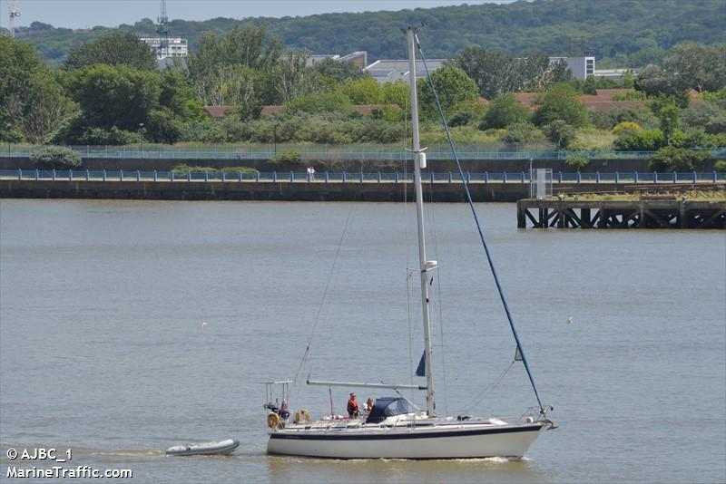 BELUGA OF CHATHAM FOTO