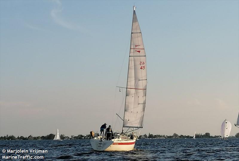 LA MOUETTE FOTO