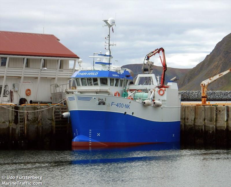 SKOGSOYVAERING FOTO