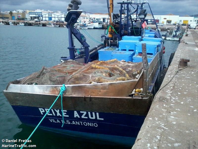 PEIXE AZUL FOTO