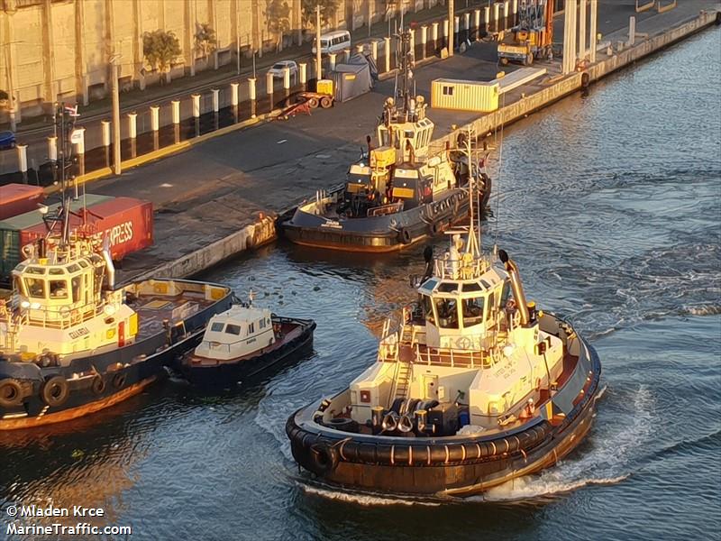 SVITZER MAIMON FOTO