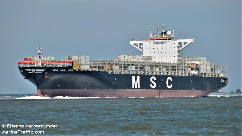 MSC ADELAIDE FOTO