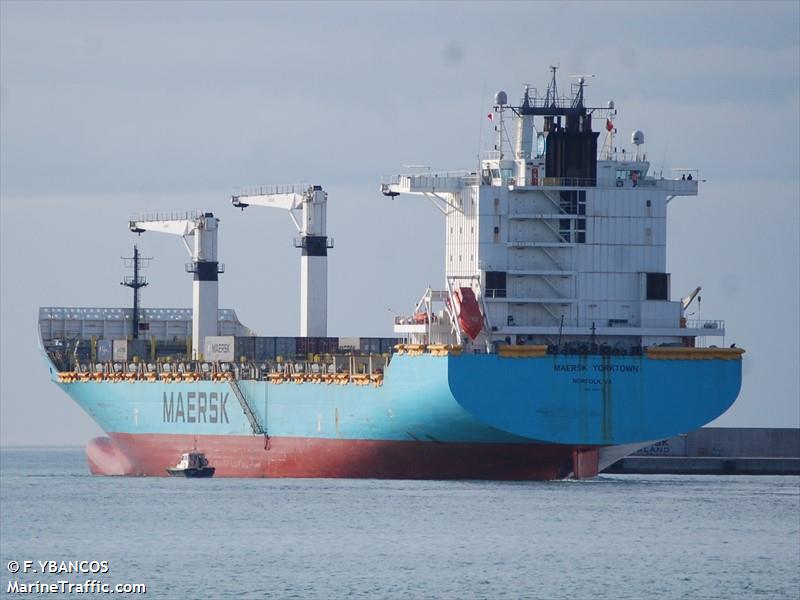 MAERSK YORKTOWN FOTO