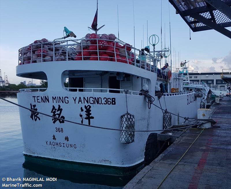 TENN MING YANG NO368 FOTO