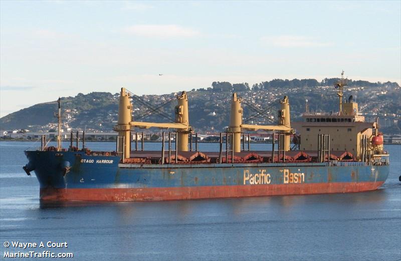 OTAGO HARBOUR FOTO