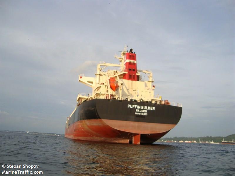 PUFFIN BULKER FOTO