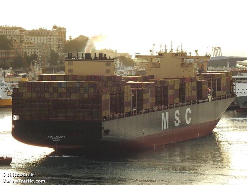 MSC DARLENE FOTO